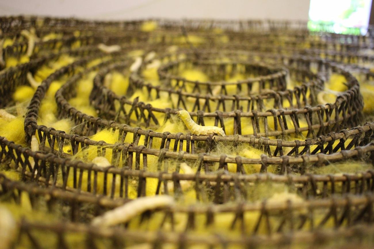 Textiles Sector Karnataka Government