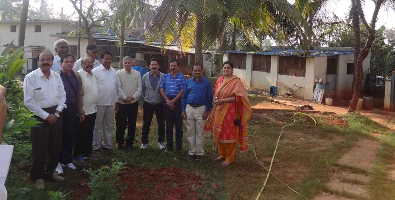 farmers mulberry garden